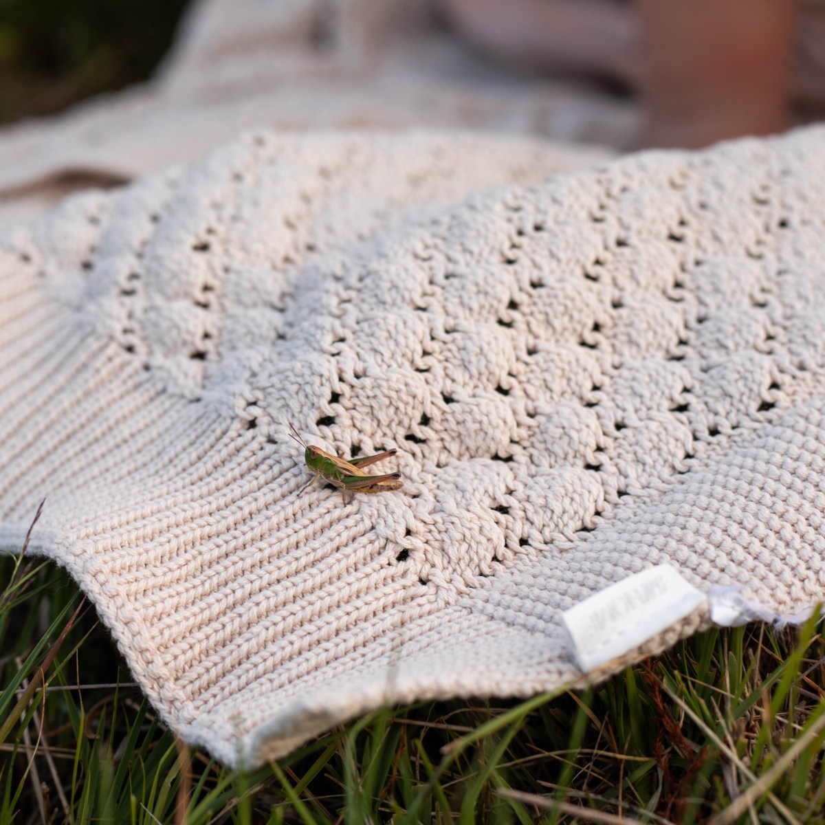 Schrijven. Niet voor het algoritme, maar voor&nbsp;jou.