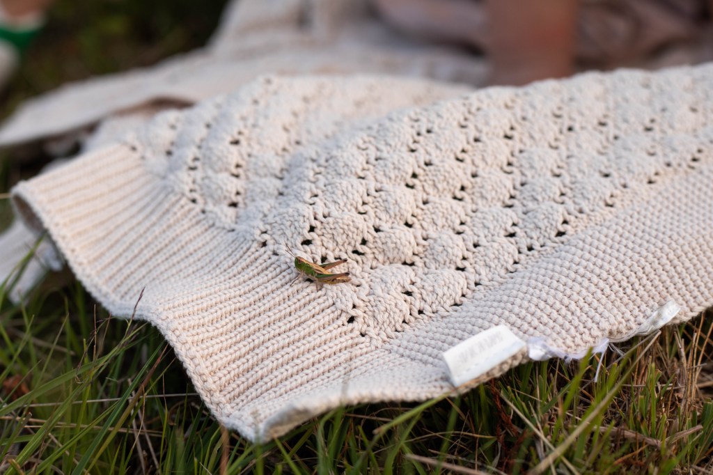 Schrijven. Niet voor het algoritme, maar voor&nbsp;jou.