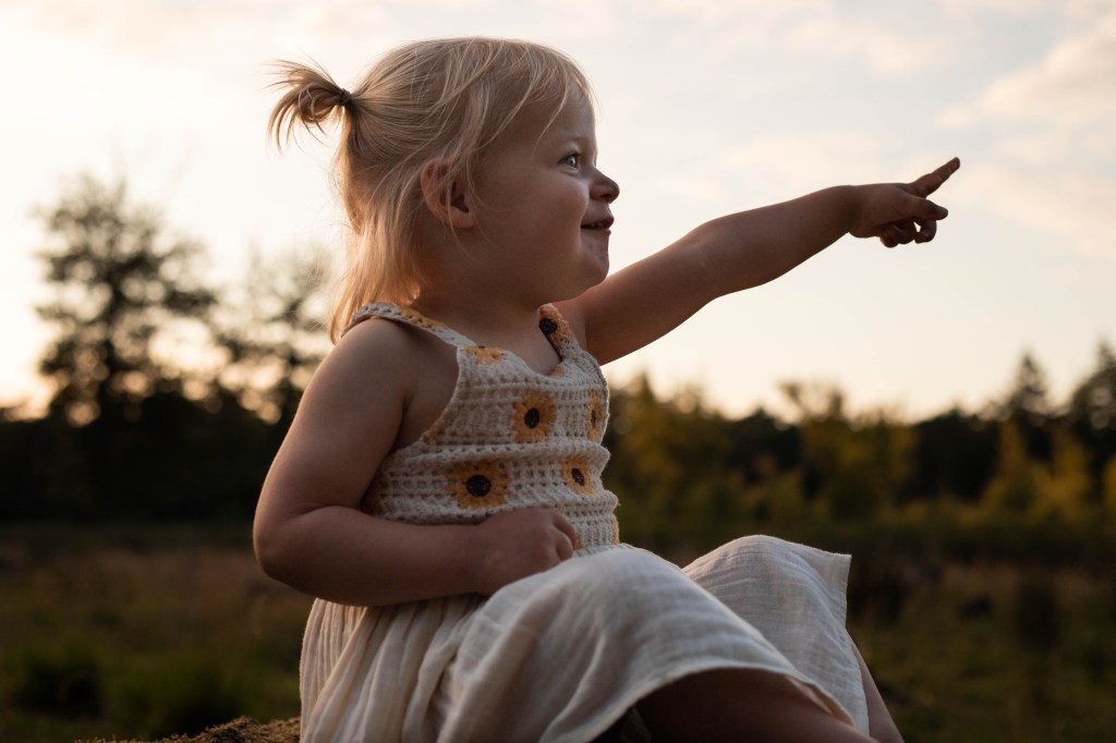 Zonsondergang in het bos –&nbsp;Klarenbeek